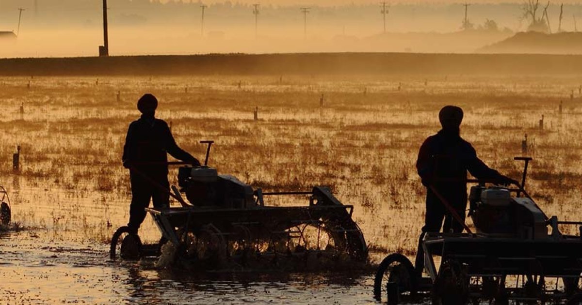 Actievoorwaarden social media winactie Hollandse Huisjes - Postcode Loterij