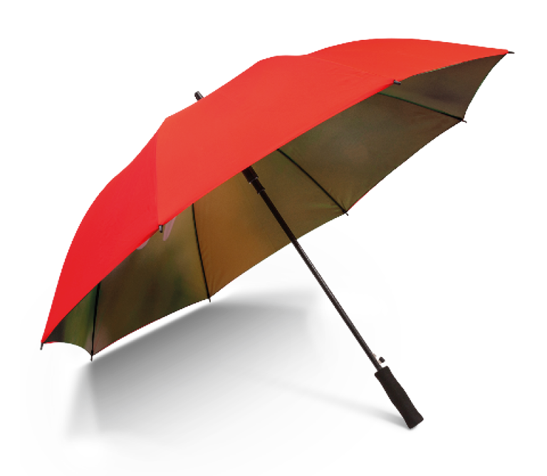 Paraplu_Large_285x300_01.png